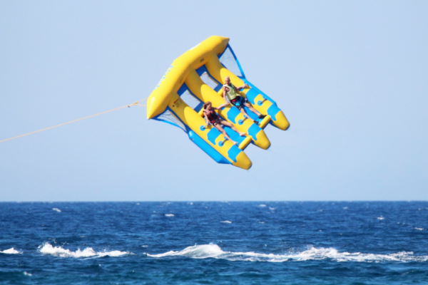 Flying fish (1)