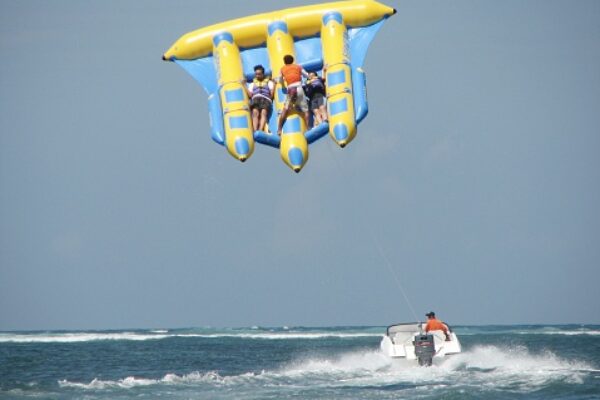 Flying fish (1)