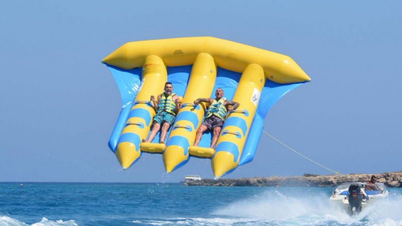 Flying fish (3)