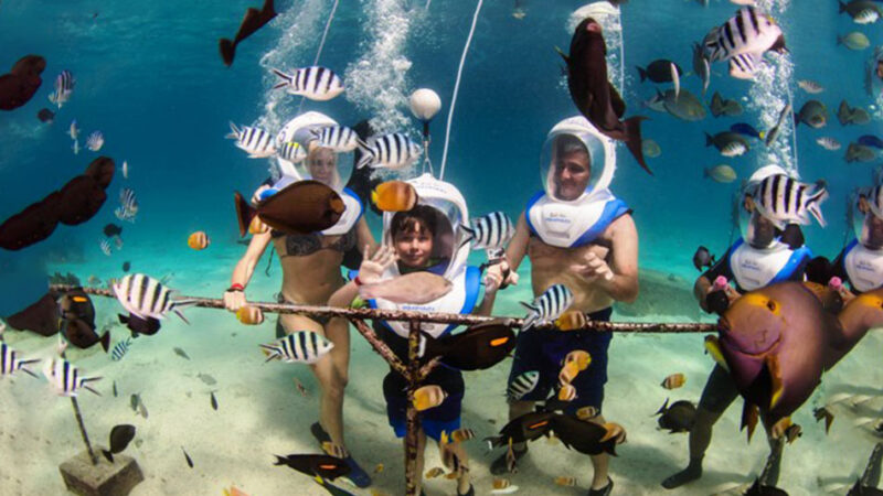 Sea Walker (3)